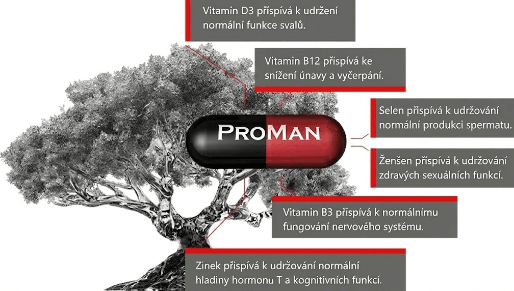 Obrázek zobrazuje skleněné srdce naplněné červenými kapslemi, které symbolizují Omega-3 mastné kyseliny (DHA a EPA) a vitamíny D a E. Na obrázku jsou umístěny barevné ikony a popisky, které ukazují, jak tyto živiny podporují zdraví srdce.